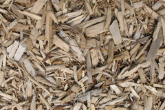biomass boilers Losgaintir